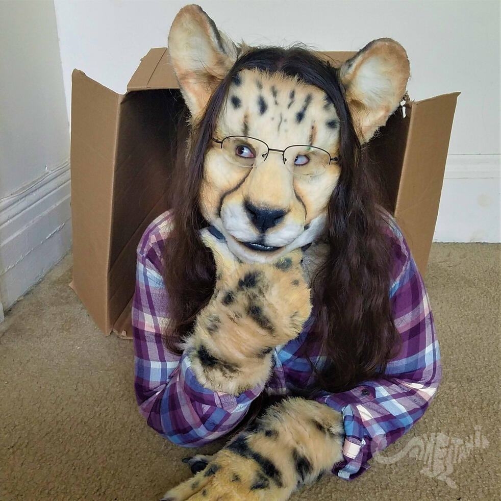 Shetani popping out of a cardboard box looking thoughtful, &quot;thinking outside the box&quot;