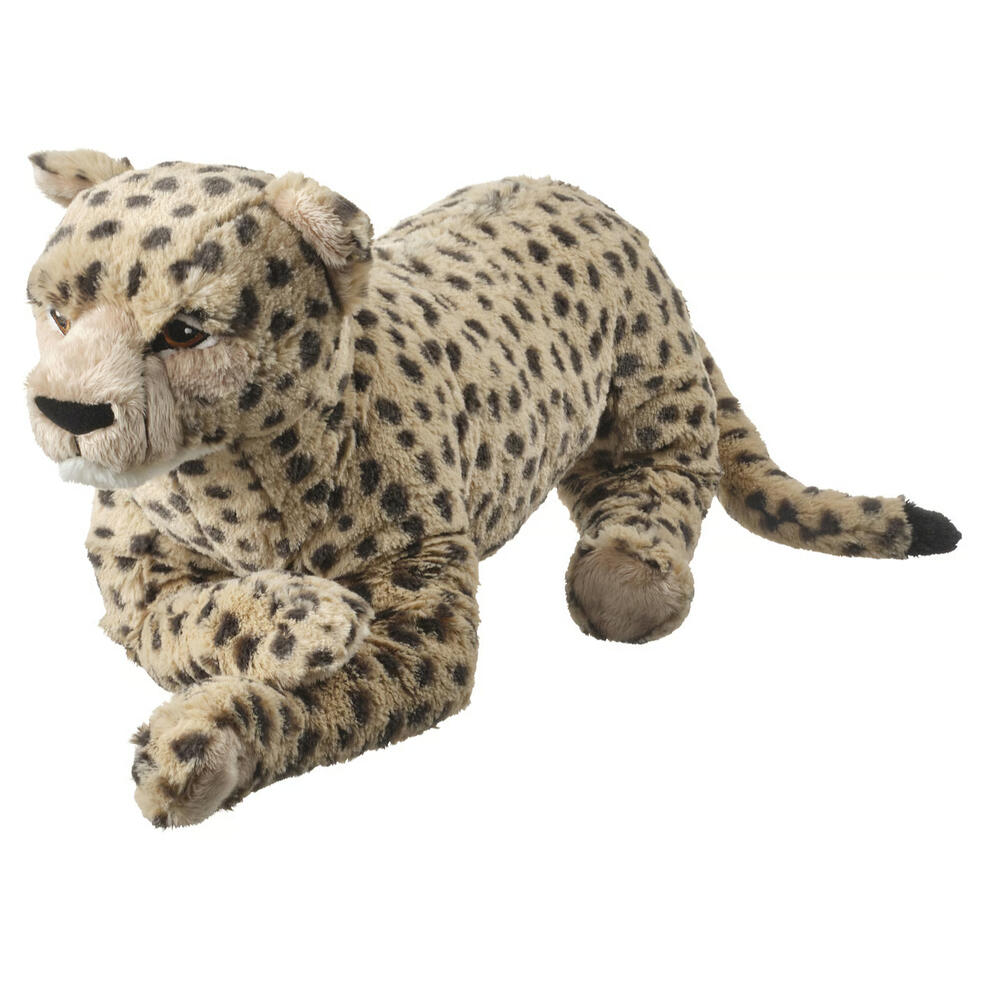 Unnamed cheetah