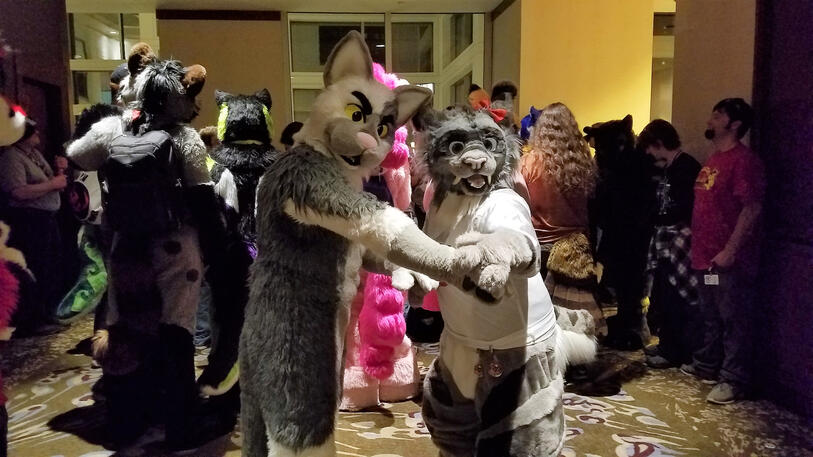 CooperTom the gray and white cat and Sai Bree the sabertooth dancing