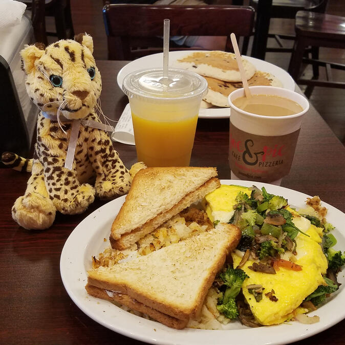 Breakfast of orange juice, tea, omelette, and toast at Joe &amp; Pie&#39;s, with Shetani&#39;s stuffed cheetah Katie
