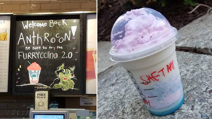 Starbucks sign reading &quot;welcome back Anthrocon! Be sure to try the Furryccino 2.0&quot;