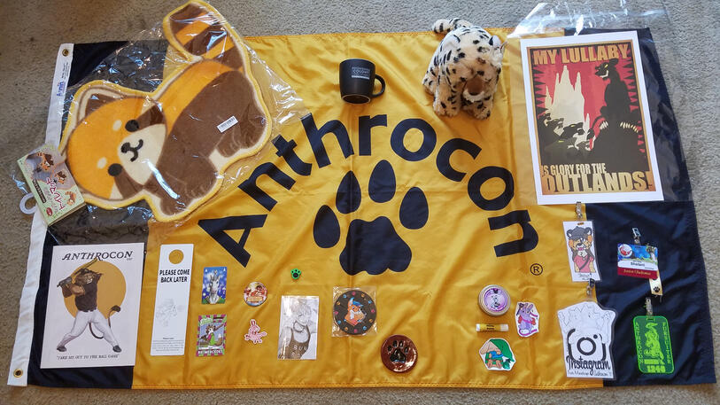 All my Anthrocon swag All my Anthrocon swag