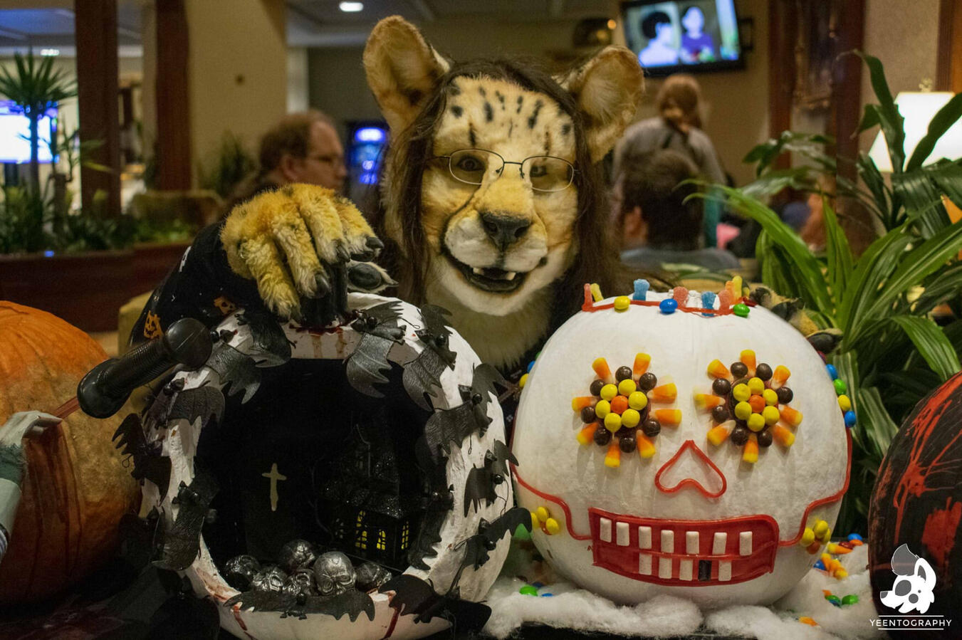 Shetani with two decorated pumpkins, one a sugar skull with candy, one hollowed out to show a spooky scene with bats and castle Shetani with two decorated pumpkins, one a sugar skull with candy, one hollowed out to show a spooky scene with bats and castle