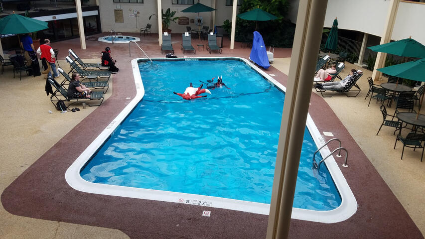 The pool in daytime, some rubber furs are swimming around with inflatables