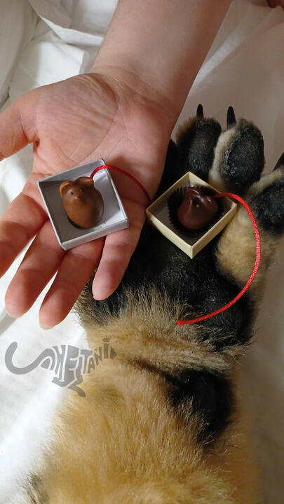 Shetani's paw and Mika's hand holding two tiny milk and dark chocolate mice in fancy boxes