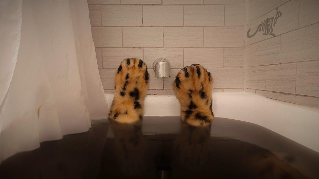 Shetani's feetpaws sticking out of a bathtub with glittery black water