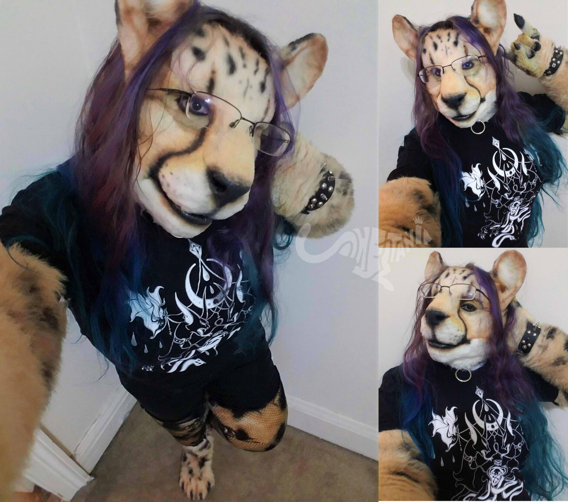 3 photos of Shetani's hair dyed in a purple to blue gradient, wearing ripped black shorts, a gothic graphic tee, spiked bracelet