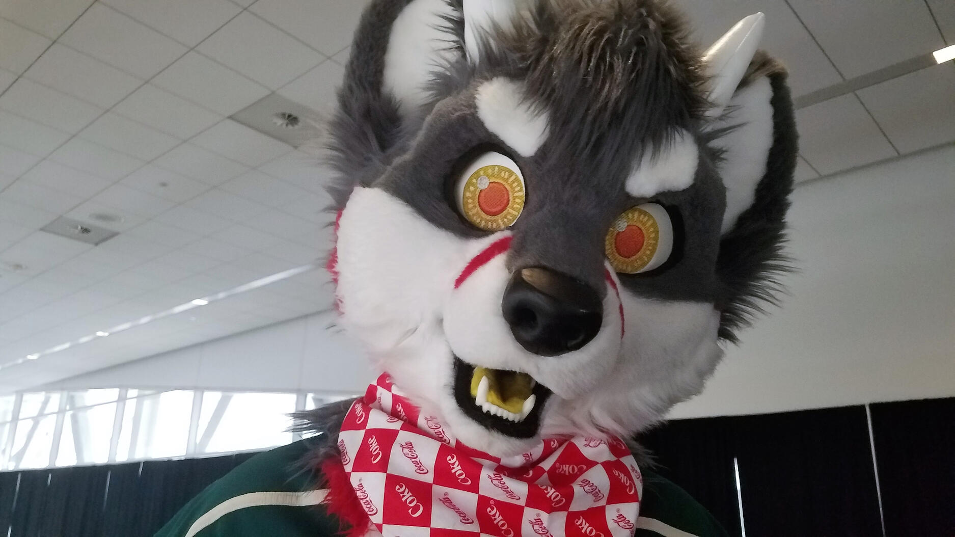 Mosfet the fox-goat fursuiter