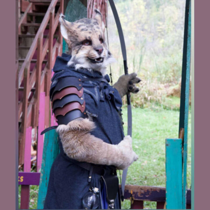 Athra the lynx dressed as a medieval archer